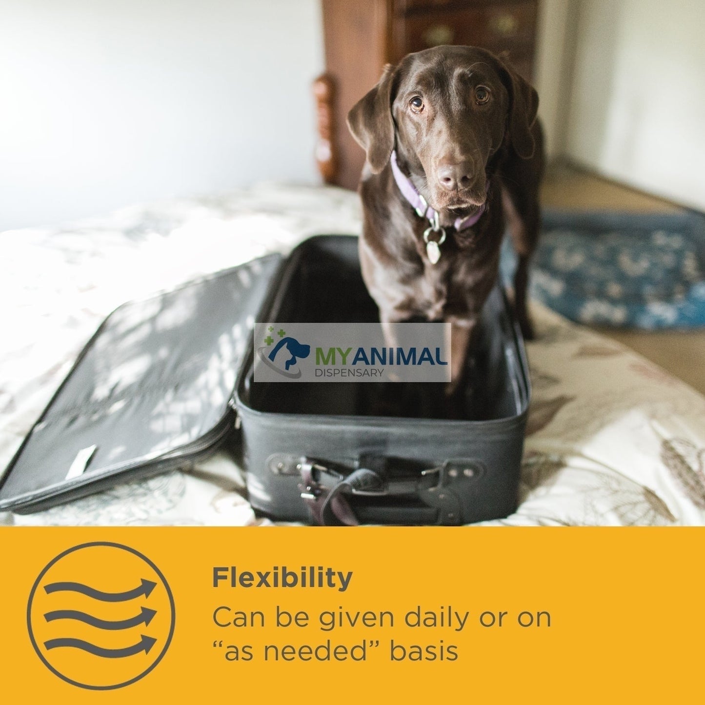 MaxxiPaws MaxxiCalm Calming Aid for Dogs
