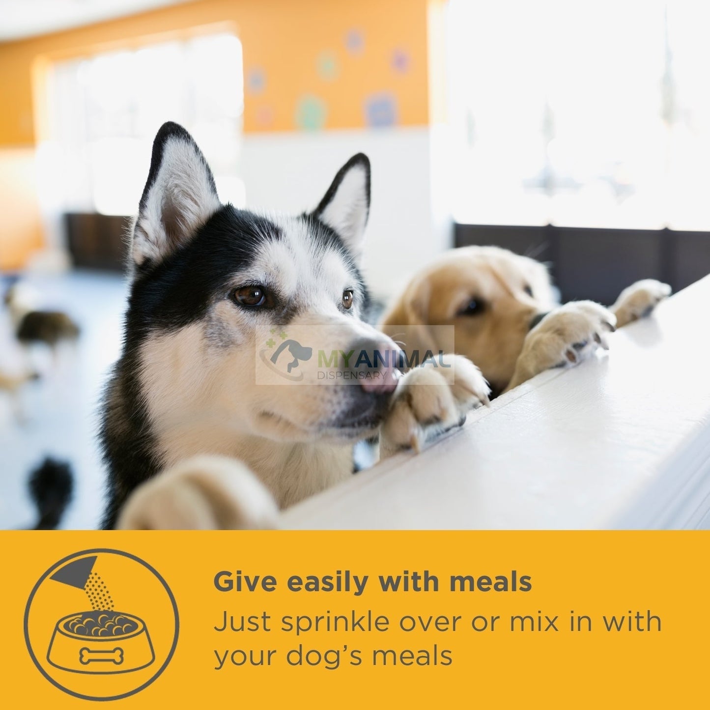 MaxxiPaws MaxxiCardio Cardiac Supplement for Dogs
