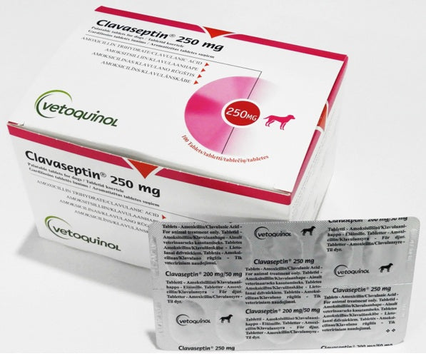 Clavaseptin 250mg Tablet