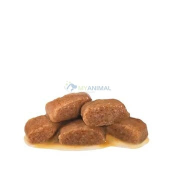 ROYAL CANIN® Veterinary Diet Feline Gastrointestinal Thin Slices in Gravy Cat Wet Pouch 85g