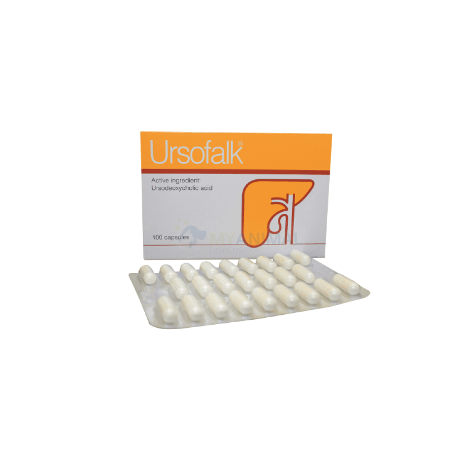 Ursofalk 250mg Capsule