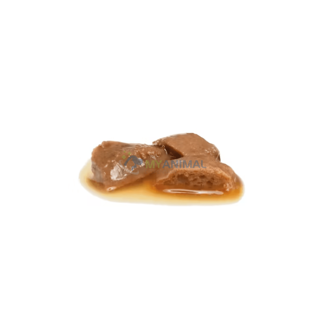 Royal Canin® Veterinary Diet Renal Chicken with Gravy Pouches Feline Wet Food