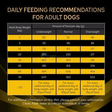 Purina® Pro Plan® Veterinary Diet Neurocare Canine Dry Food