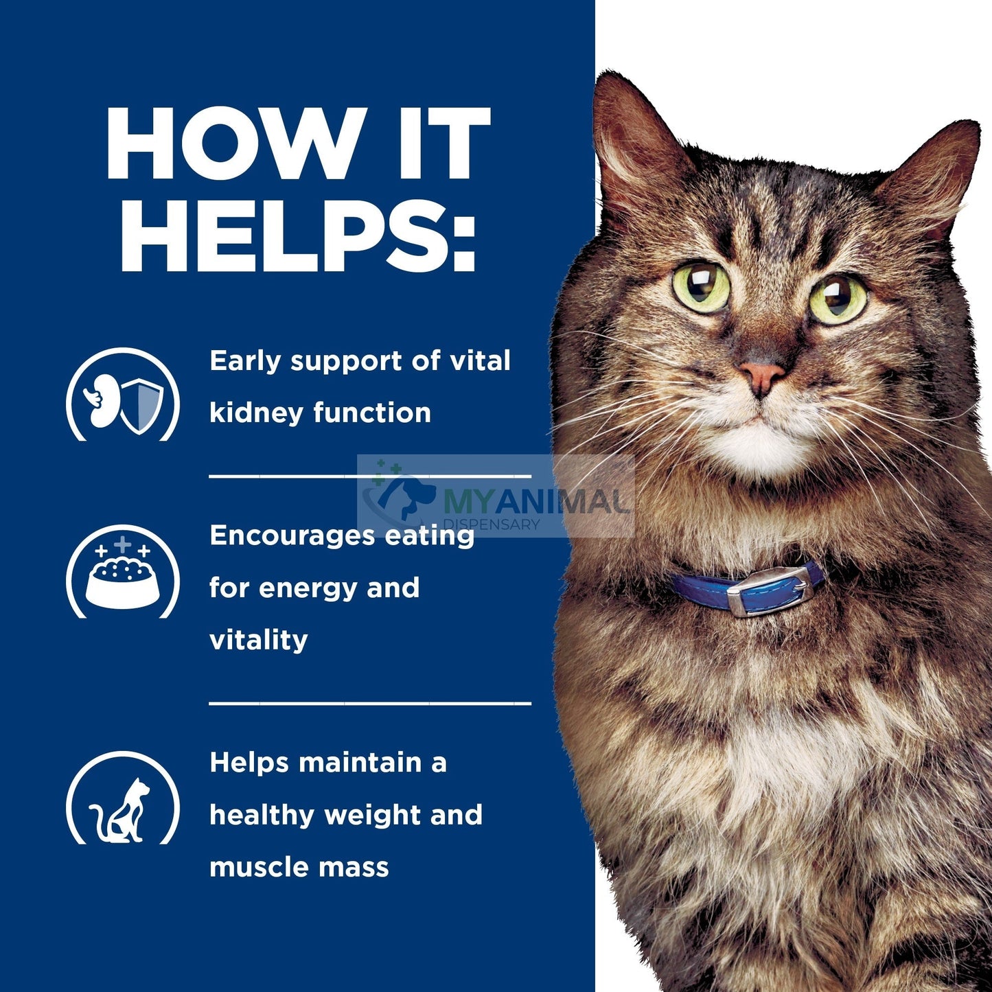 Hill's® Prescription Diet® k/d® Kidney Care Early Support Feline Chicken Dry Cat Food