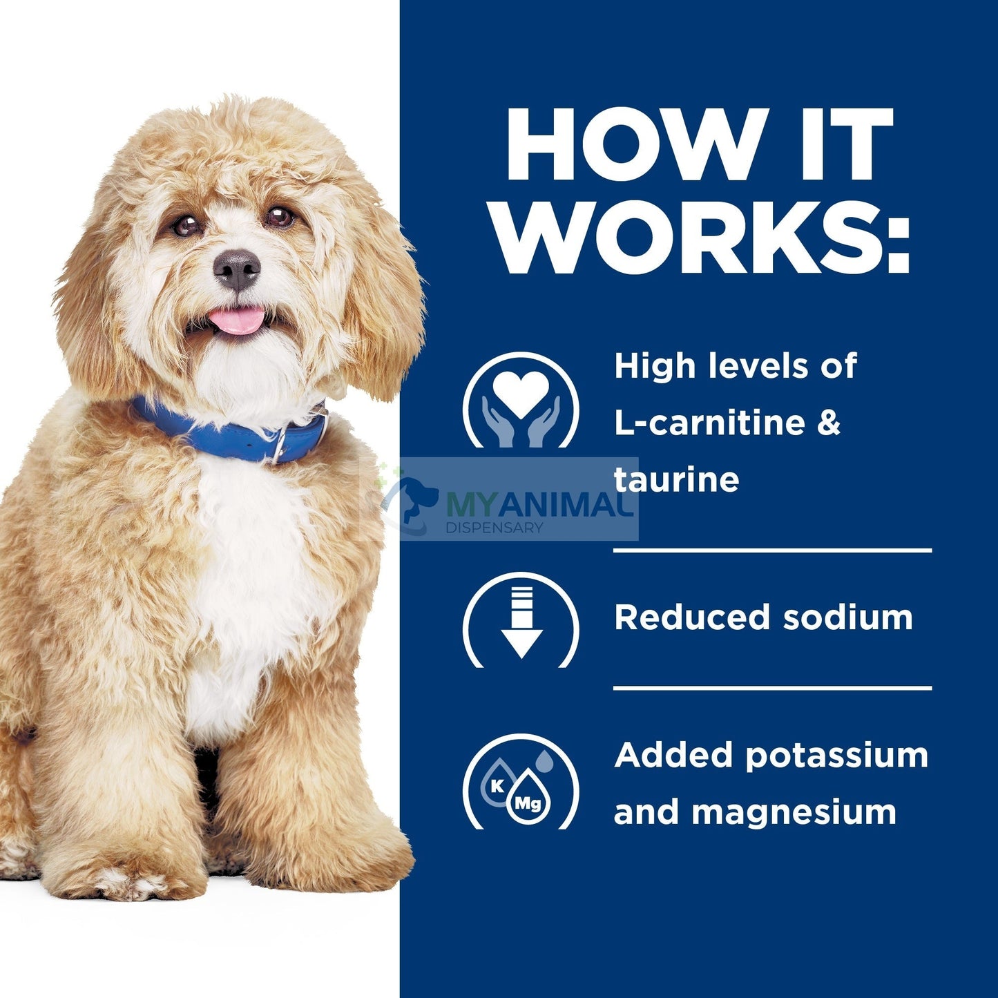 Hill's® Prescription Diet® h/d® Canine Heart Care