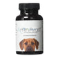 AminAvast® Kidney Health Supplement for Dogs >9kg (60 Capsules)