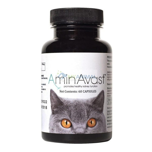 AminAvast® Kidney Health Supplement for Cats (60 Capsules)