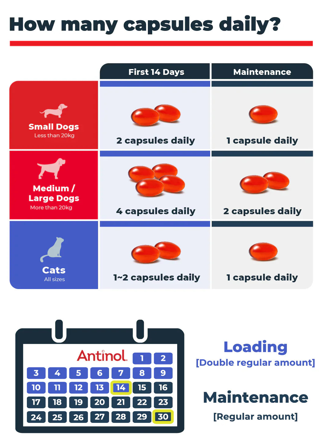 Antinol® Plus Joint Supplement for Dogs