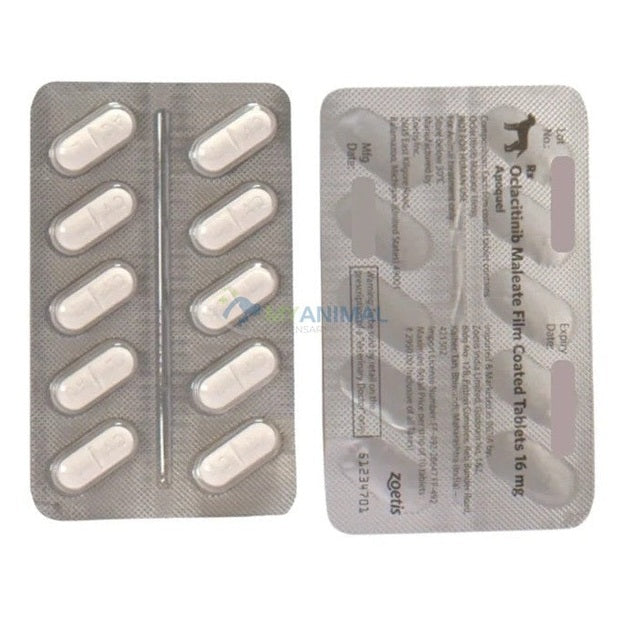 Apoquel Dermatitis Allergic Itch Tablet (16mg)