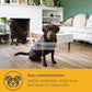 PROMOTION: MaxxiPaws MaxxiCalm Calming Aid for Dogs