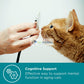 PROMOTION: MaxxiPaws MaxxiSAMe Liver Supplement for Cats (90g)