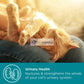 MaxxiPaws MaxxiUtract Urinary Supplement for Cats (90g)