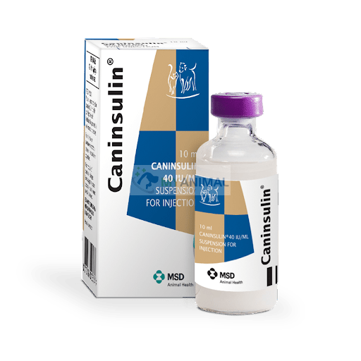 Caninsulin Insulin Injection 40Iu/mL (10mL)