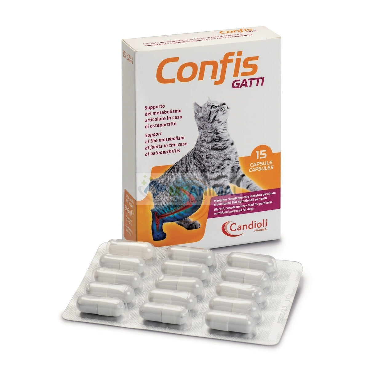 Confis Gatti for Cat Support (Osteoarthritis)