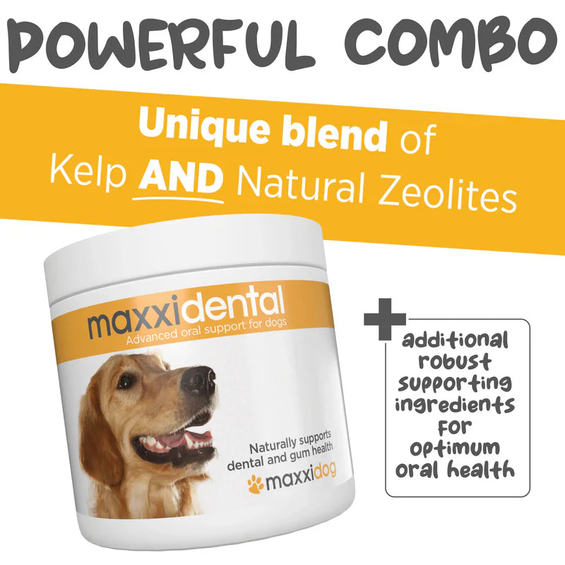 Maxxipaws® Maxxidental Dental Supplement for Dogs Trial Pack