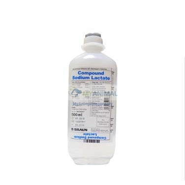 Hartmann's Solution (Sodium Lactate) 500mL / 1000mL