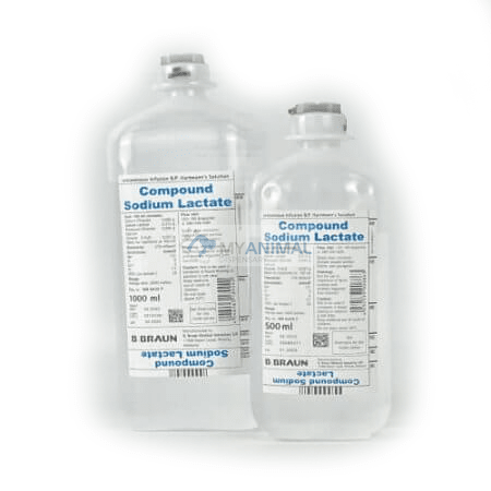 Hartmann's Solution (Sodium Lactate) 500mL / 1000mL