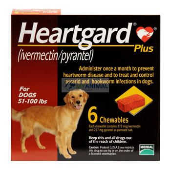 Heartgard Plus Chewables Heartworm Roundworm Hookworm Prevention for Dogs (51 to 100lb)