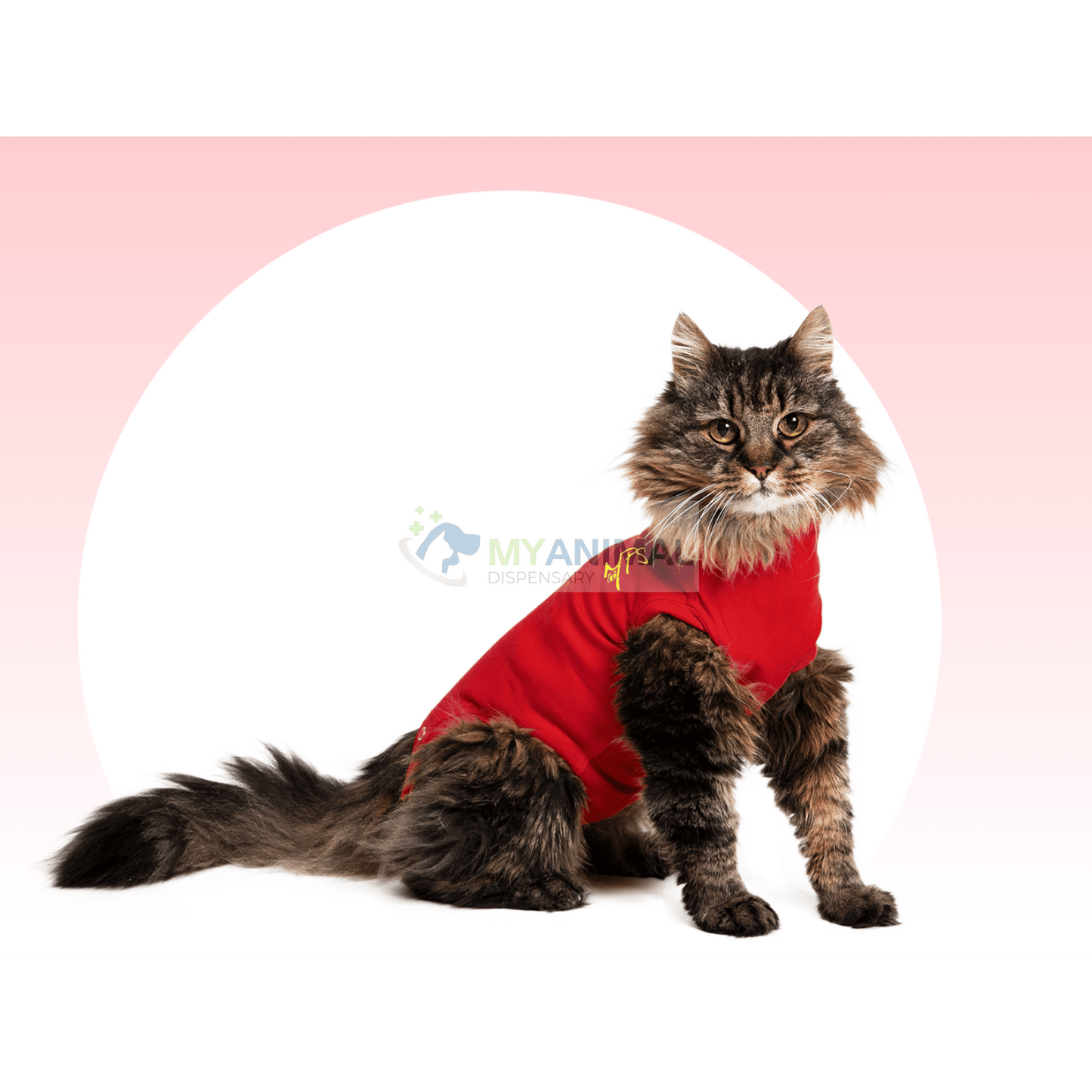 MPS Medical Shirts for Cats