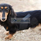 Lil Back Bracer™ Orthopedic Support Brace for Dogs