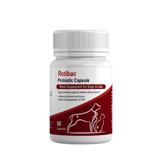 Rotibac Probiotic Capsules for Kidney Care