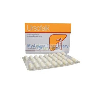 Ursofalk 250mg Capsule