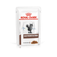 Royal Canin® Veterinary Diet Gastrointestinal Pouches Feline Wet Food