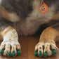 Dr Buzby's Anti Slip Toe Grips for Dogs