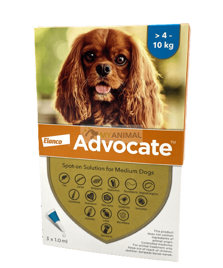 Advocate Fleas & Heartworm Prevention for Medium Dogs (4 to 10Kg)