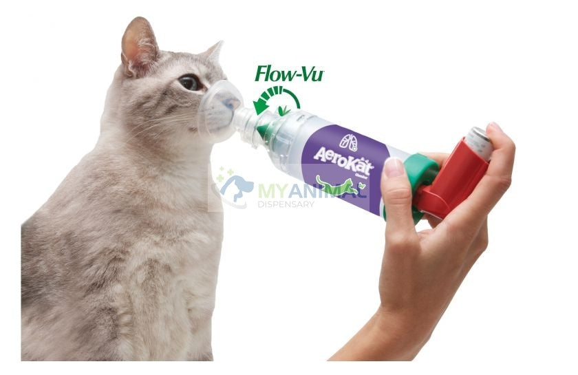 AeroKat for Cats - Feline Aerosol Chamber