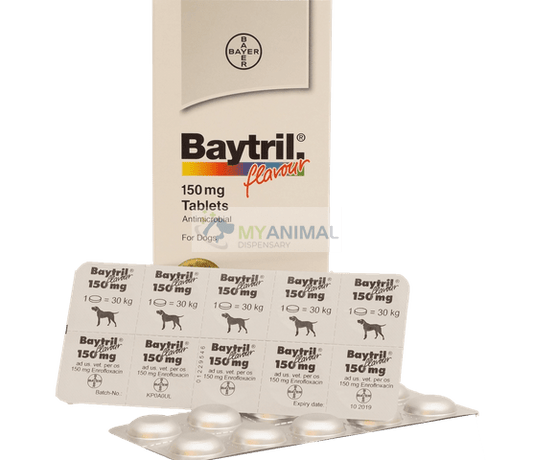 Baytril Beef Flavor Tablets for Dogs (Enrofloxacin 150mg)