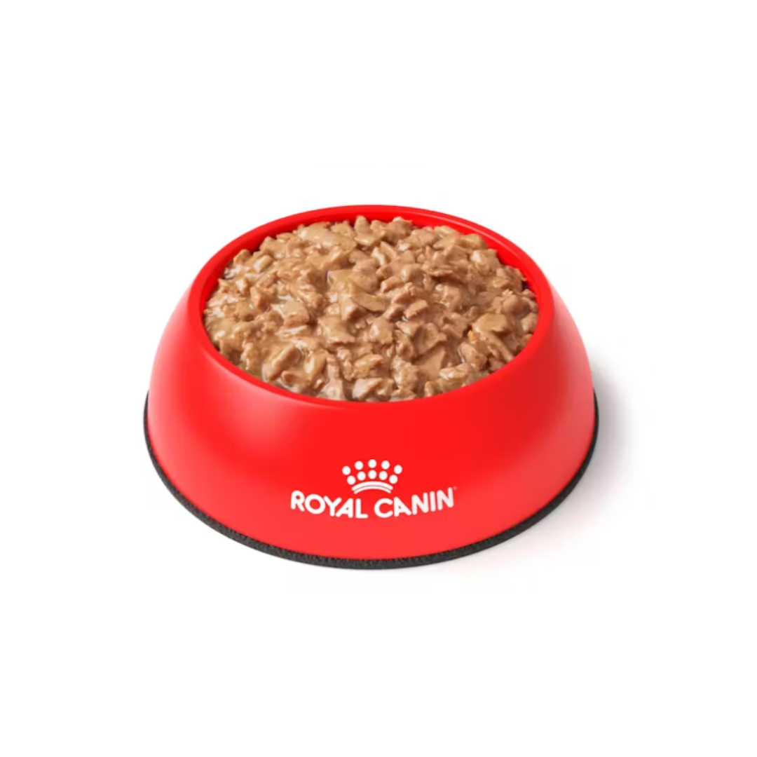 Royal Canin® Veterinary Diet Urinary S/O Chicken Morsel in Gravy Pouches Feline Wet Food