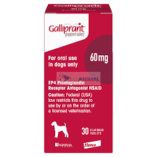 Elanco Galliprant Anti Inflammation Osteoarthritis Pain Relief Tablets for Dogs (60mg)