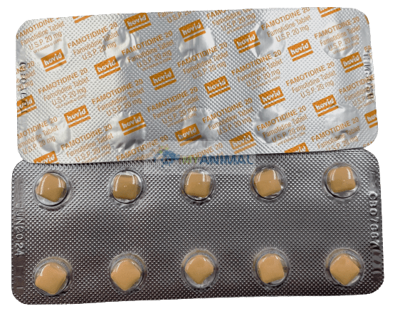 Famotidine 20mg Antihistamine Tablet