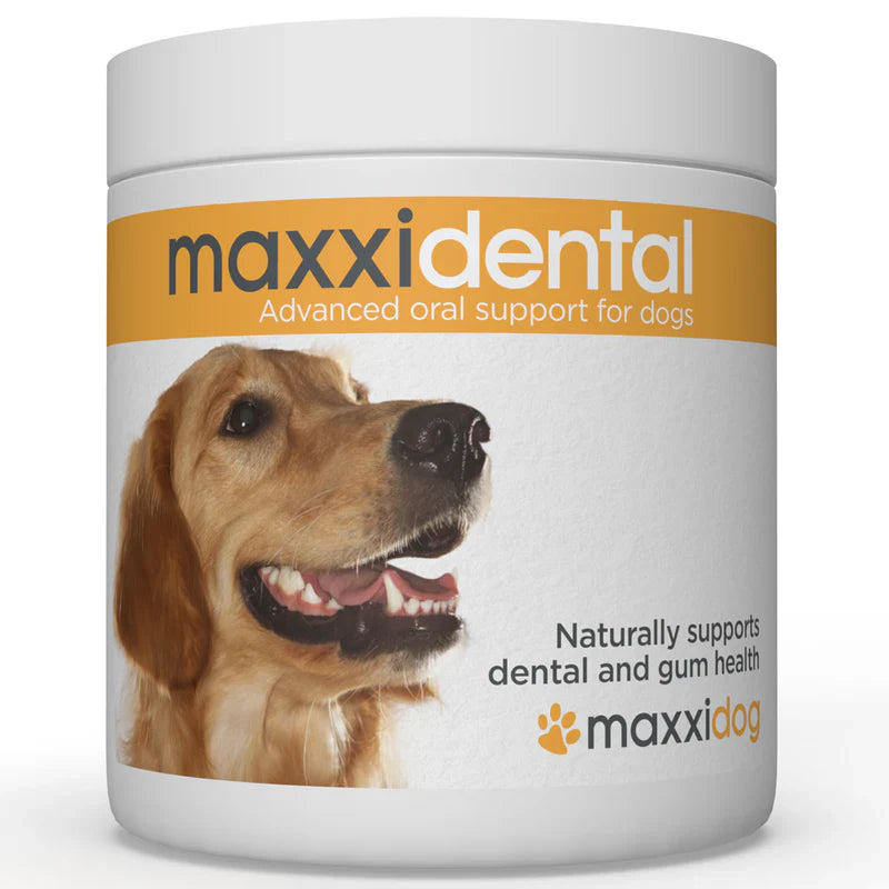 Maxxipaws® Maxxidental Dental Supplement for Dogs Trial Pack