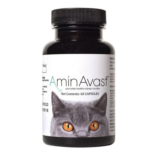 AminAvast® Kidney Health Supplement for Cats (60 Capsules)