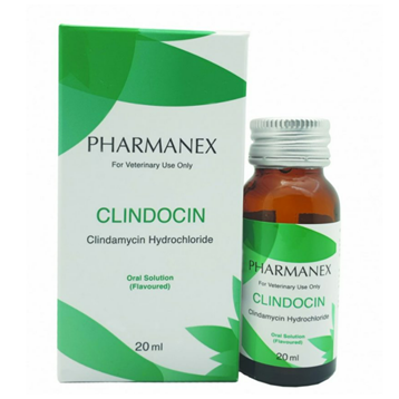 Pharmanex Clindocin (Clindamycin 25mg/mL)Antibiotic Oral Syrup for Dogs Cats Pets 20mL
