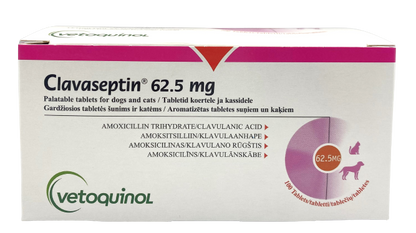 Clavaseptin 62.5mg Tablet